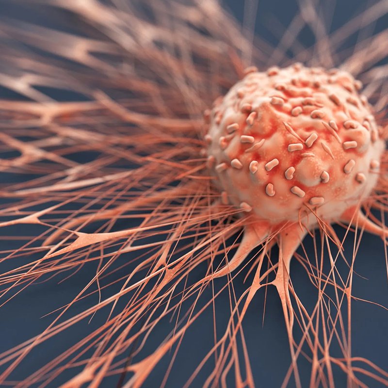 Image hover effect image