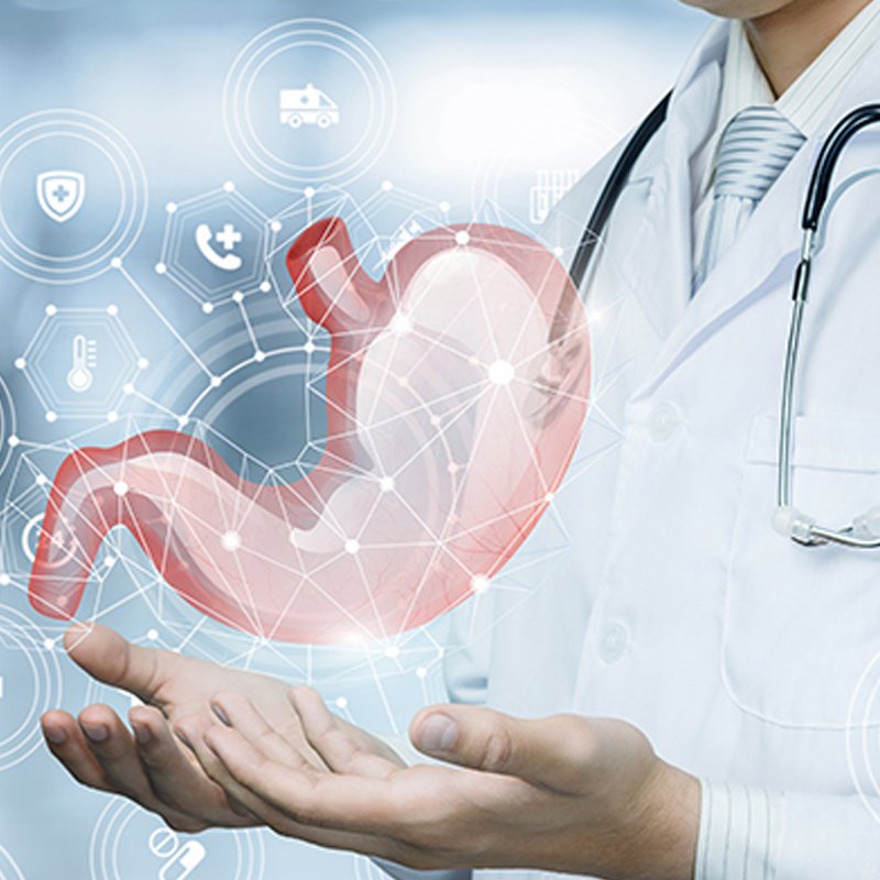 Image hover effect image