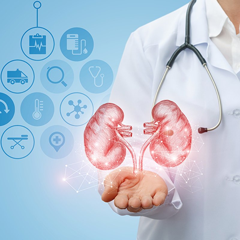 Image hover effect image